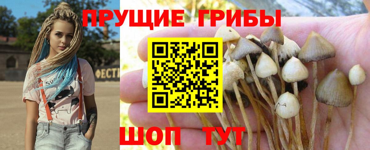Псилоцибиновые грибы мицелий  Псилоцибиновые грибы Magic Shrooms  Вход с VPN  Новый Уренгой 